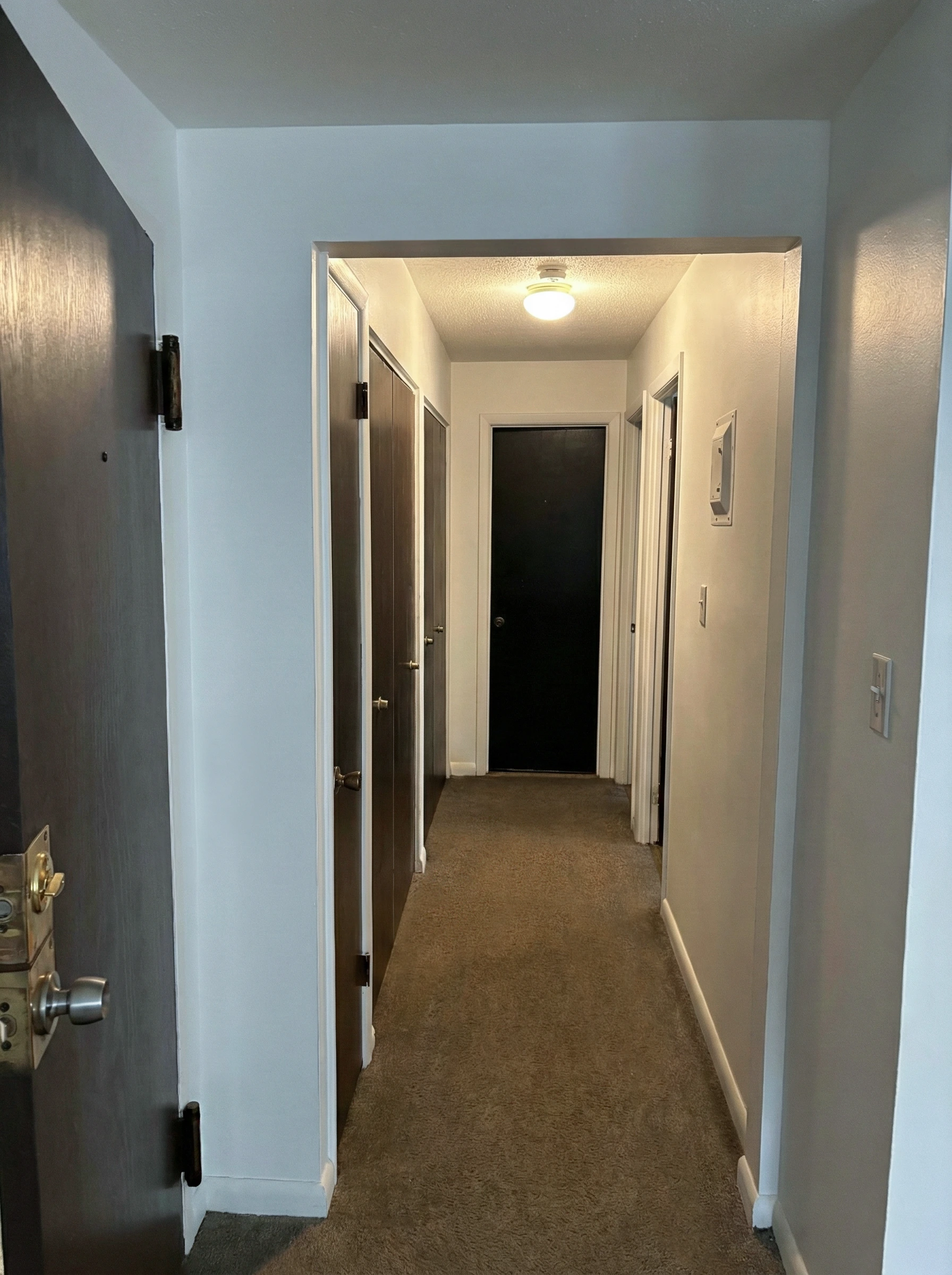 Apartment entry hallway with multiple closets