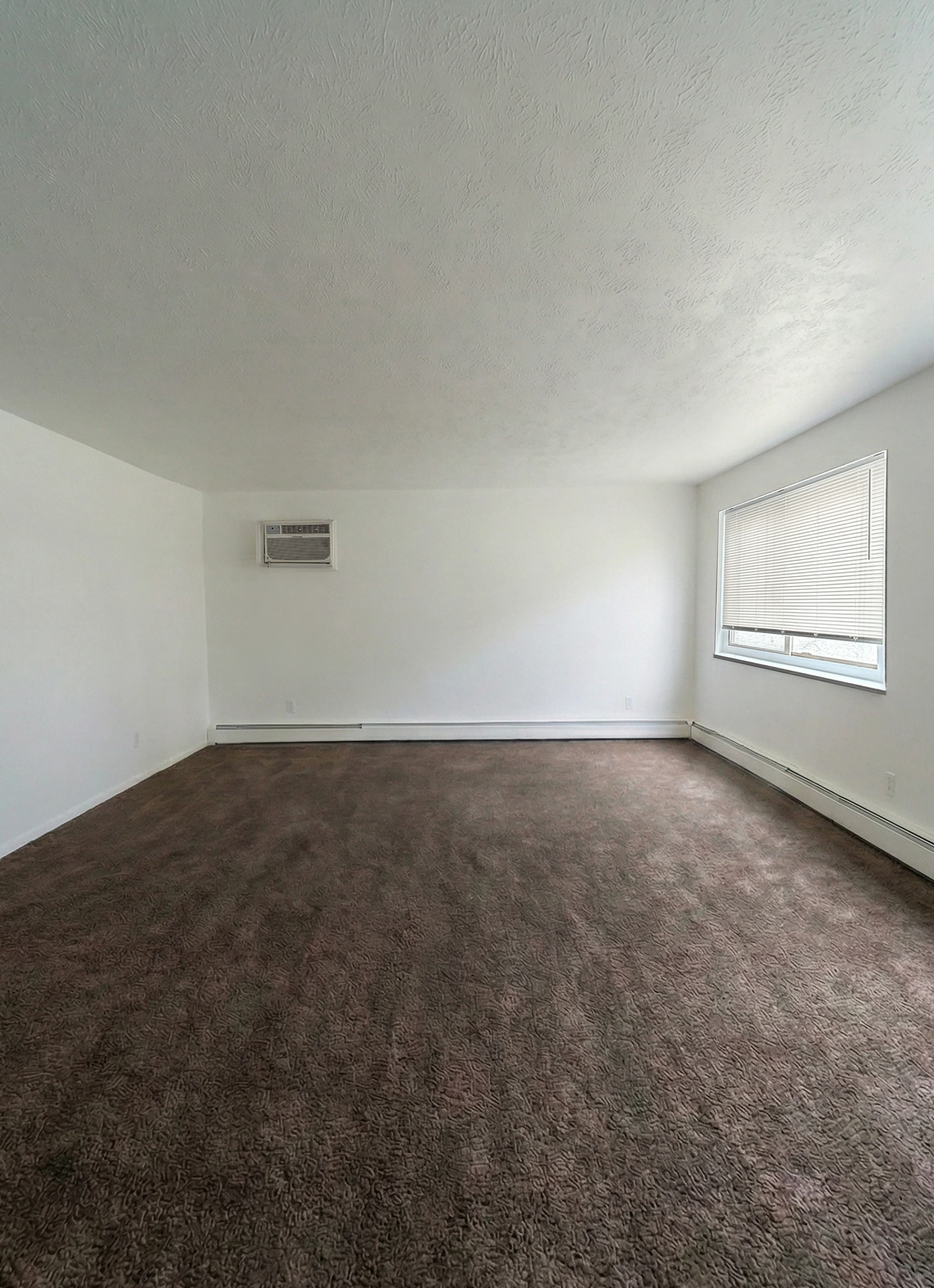 Spacious apartment living room with window and air conditioning